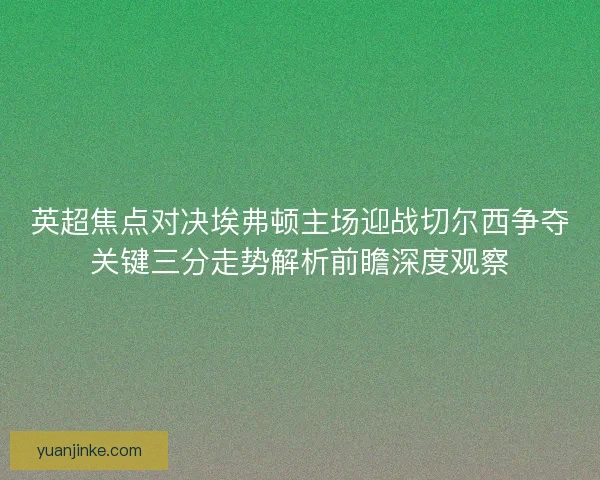 英超焦点对决埃弗顿主场迎战切尔西争夺关键三分走势解析前瞻深度观察
