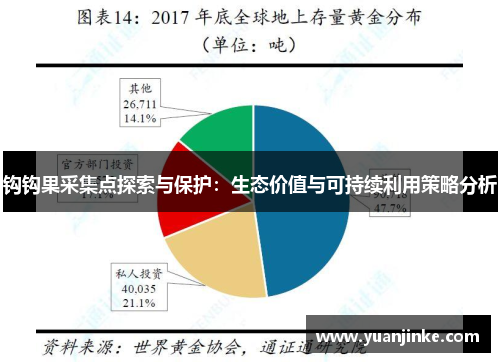 钩钩果采集点探索与保护：生态价值与可持续利用策略分析